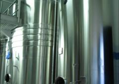 Cuves Inox - Garde-vins inox